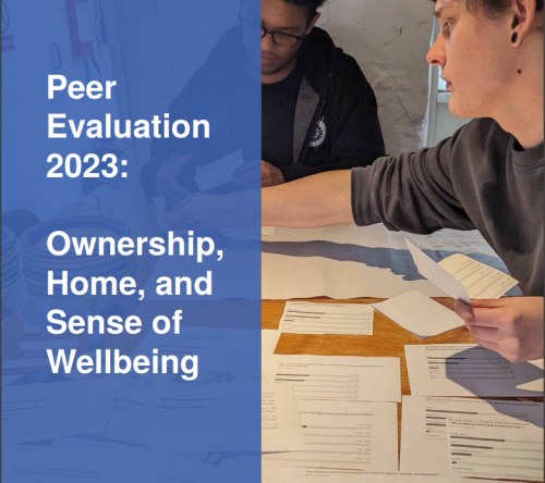 CLNM Peer Evaluation 2023